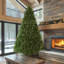 Arbre de Noël épinette-860559346