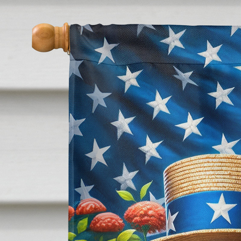 Drapeau «All American House», Colley barbu