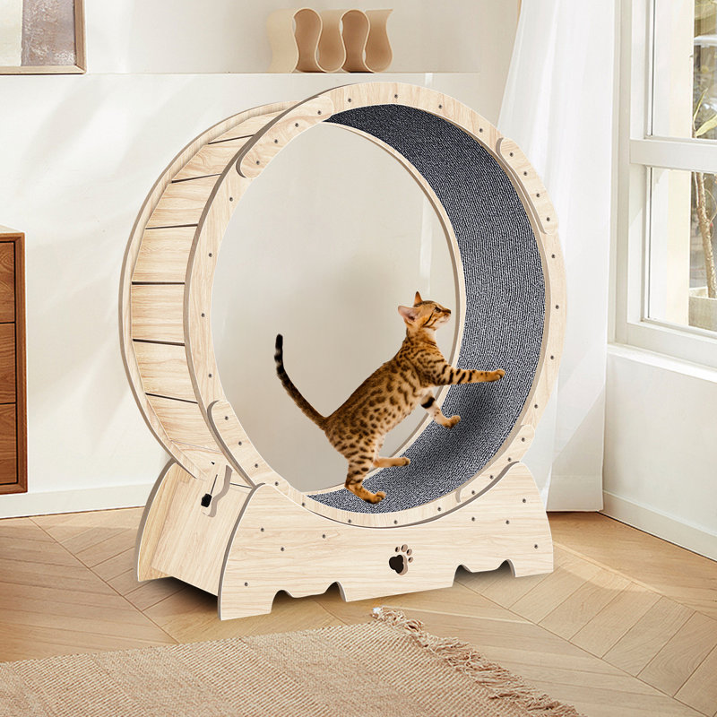 Roue d'exercice pour chats pour chat d'intérieur, roue de course pour chat avec piste tapissée, bois naturel de 41 po