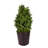 14 " H Faux Topiary