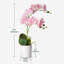Arrangement de soie orchidée en pot-1709239946
