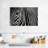 Brampt Zebra In Lisbon Zoo-107677907
