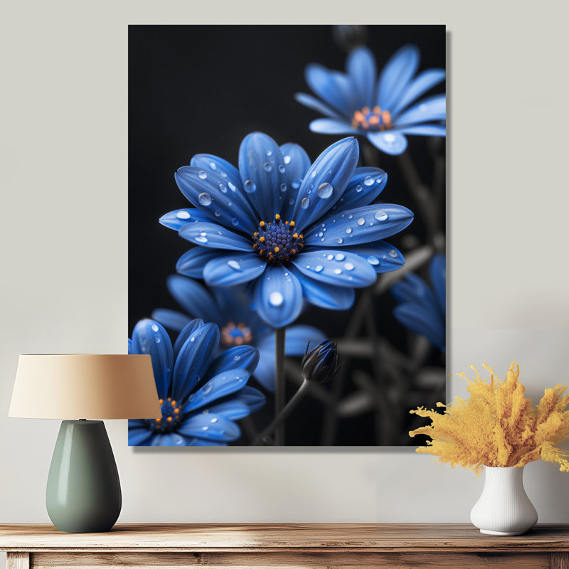Monochromes bleus noirs, gouttes de pluie, fleurs II - marguerites, art mural, Toile tendue, H 34 po x l 44 po