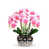 Pink/White