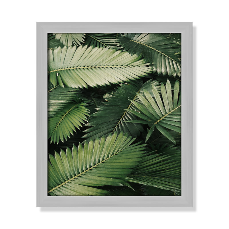 «Island Ferns» par Vickholius Nugroho - reproduction d'un seul cadre, Cadre argenté mat, H 15 po x l 13 po x P 1,25 po