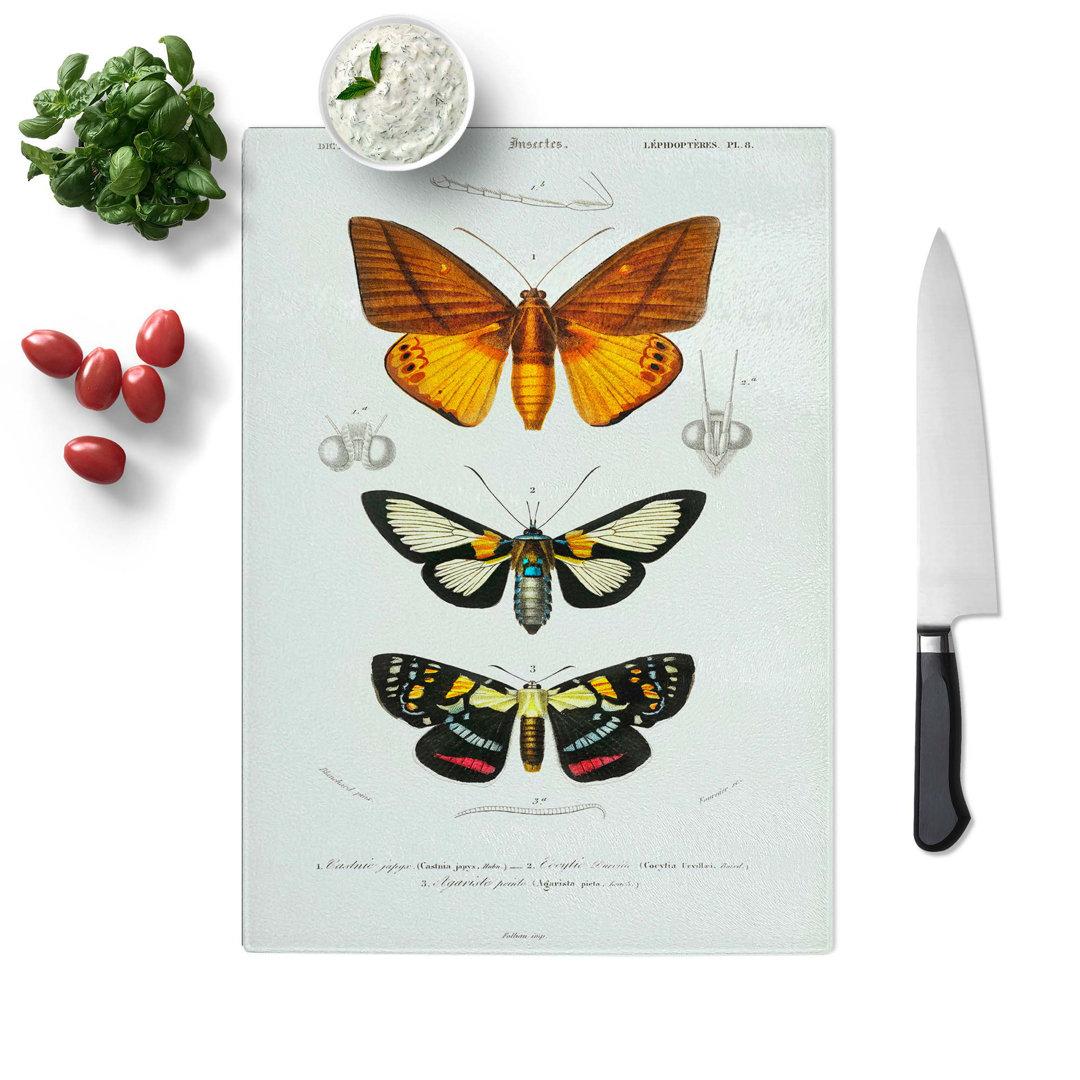 Glass Moth Illustrations Pl. 8 by Charles D' Orbigny Chopping Board