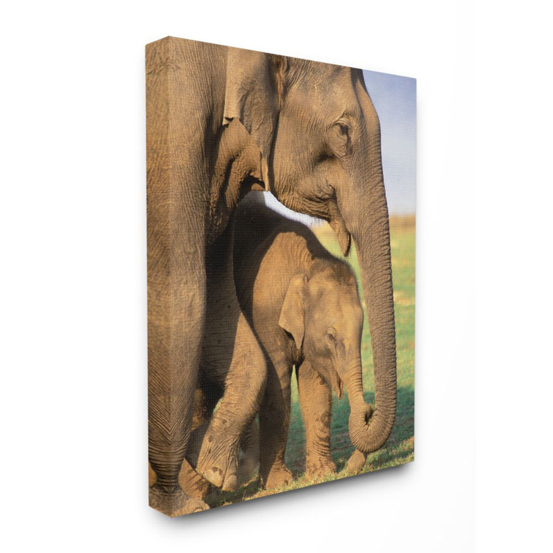 «Elephant Family Mother with Child», photographie, Toile tendue, H 20 po x l 16 po x P 1,5 po