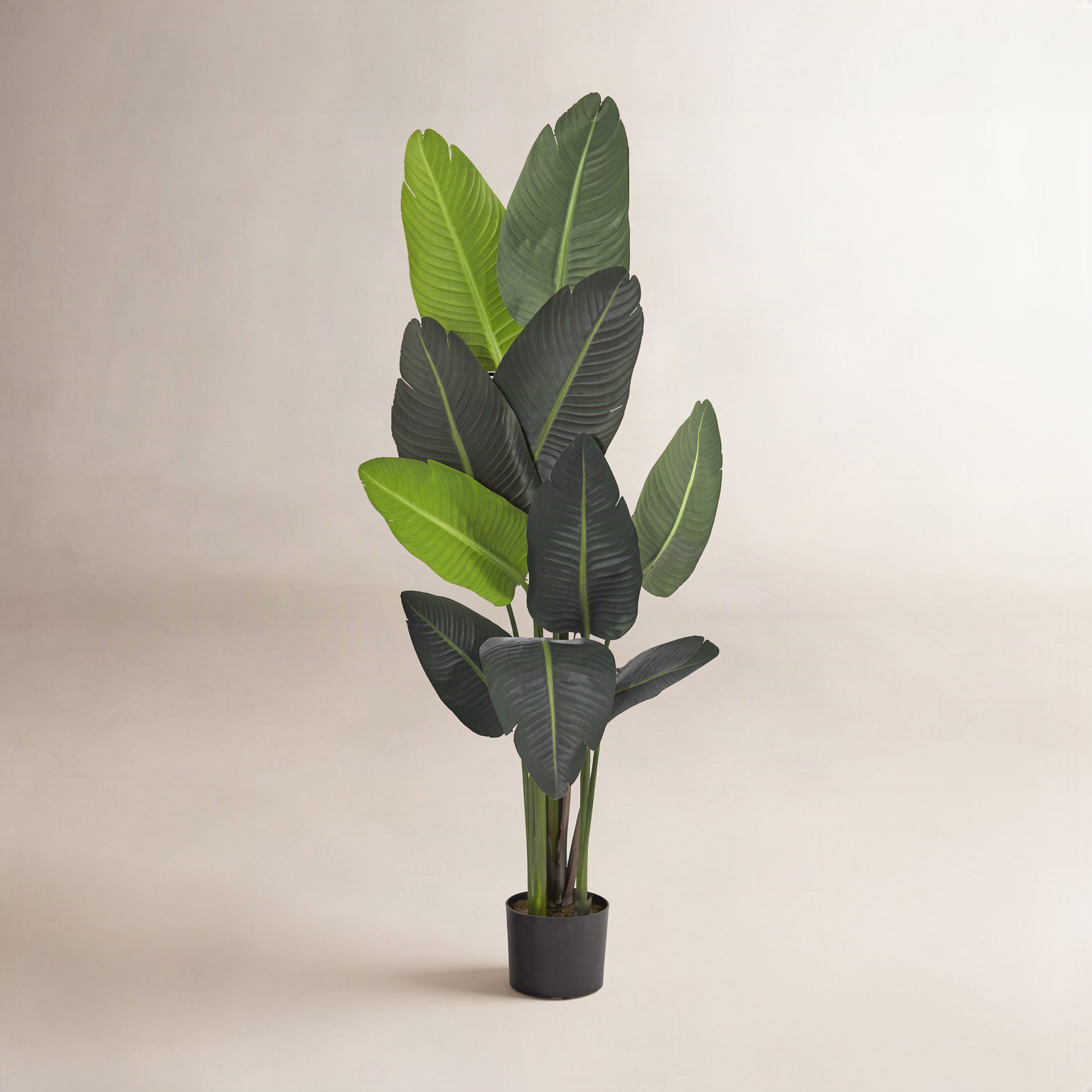 Faux Banana Leaf Tree in Pot Liner, 58" H x 23" W x 18" D