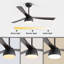 Ventilateur de plafond 51,96