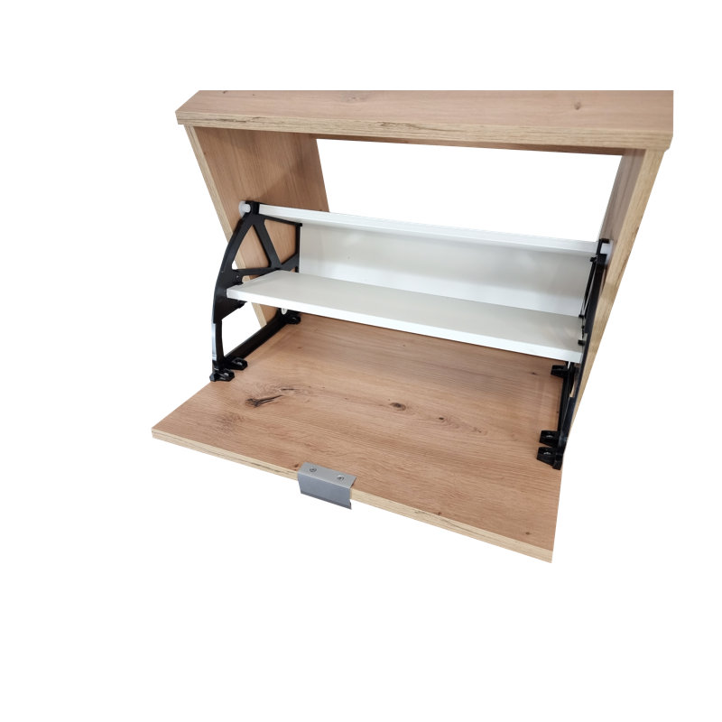 Moon 18 Pair Shoe Storage Cabinet, Artisan Oak