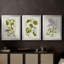 Arbre en fleurs I - Toile tendue avec châssis sur mesure - 3 pièces-117230171-117230176