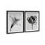 Peeking Flowers Set Shadowbox Floral & Botanical Print by Oliver Gal, Black Frame, 10 x 15-659888708-659888710