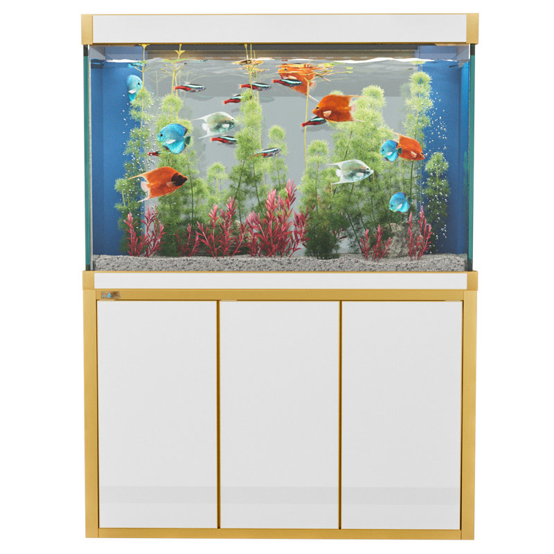 Réservoir d'aquarium 50 gallons, Blanc / or, 135 gallons (H 51 po x l 14 po x P 24 po)