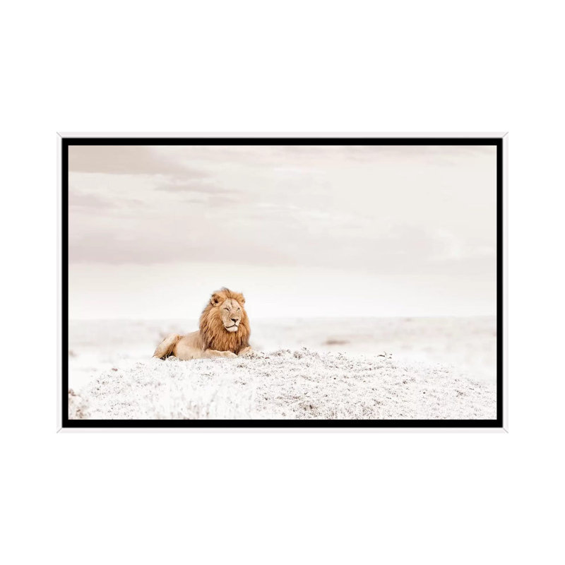 White Lion by Klaus Tiedge - Print on Canvas, 101.6 cm H x 66.04 cm W, White Framed