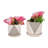 Ceramic Stoneware Saucer Planters with Perforated Design, Set of 2