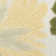 Nourison Aloha Ivory Green Modern Rug