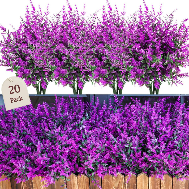Arrangement, Fuchsia