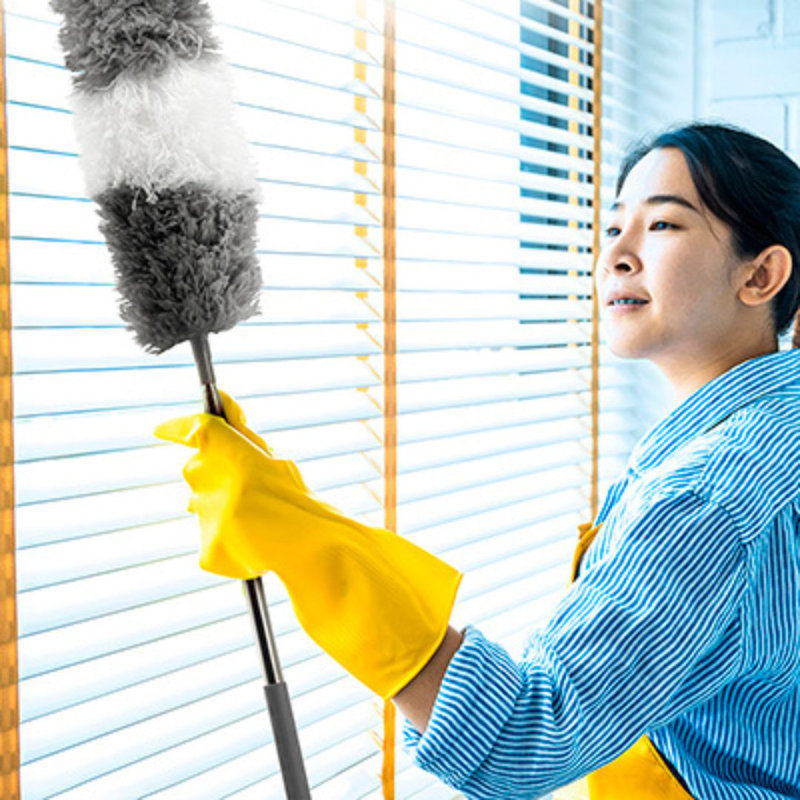 Duster réglable Duster avec tête remplaçable