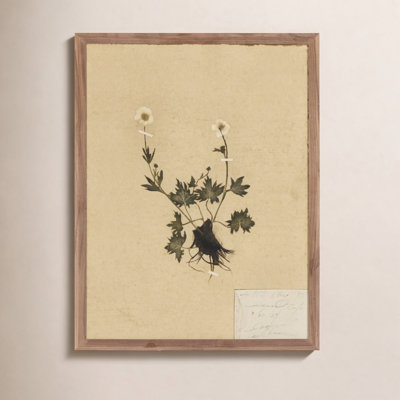 "Petite Study No. V" by Hannah Winters