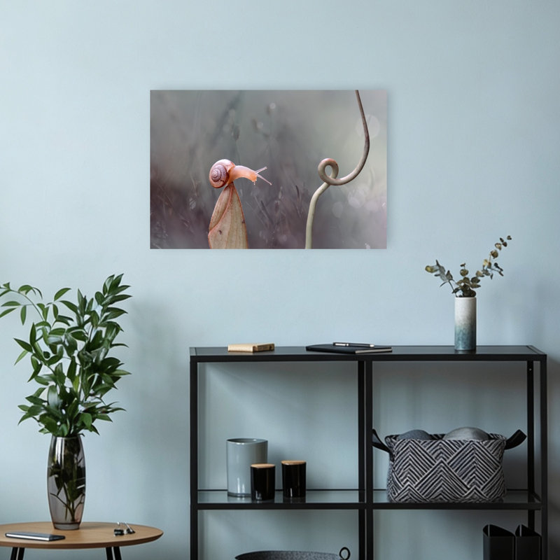 Snail'S Curious Reach Delicate Serene Tranquil Animal Nature Wall Art Print by Abdul Gapur Dayak - Print
