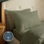 Silentnight Brushed Cotton Pillowcase Pair-119352943