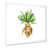 White Picture Framed