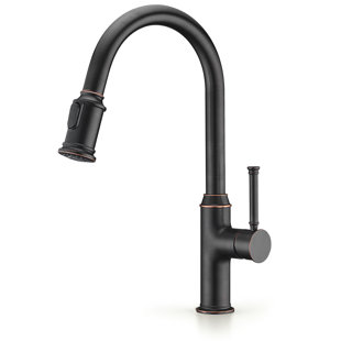 OAKLAND Pull Down Kitchen Faucet