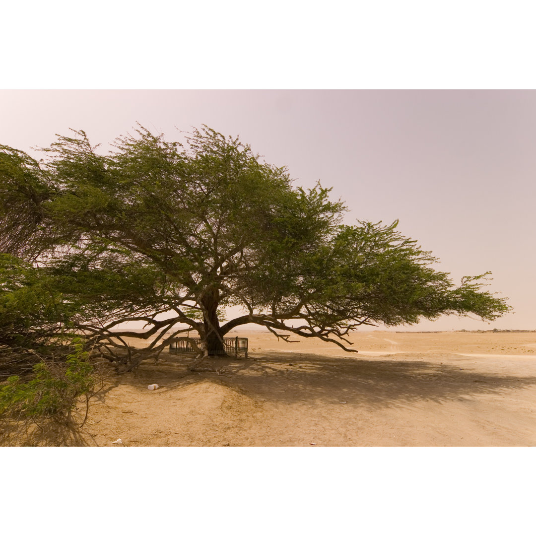 Bahrain Baum des Lebens von Lingbeek - Kunstdrucke