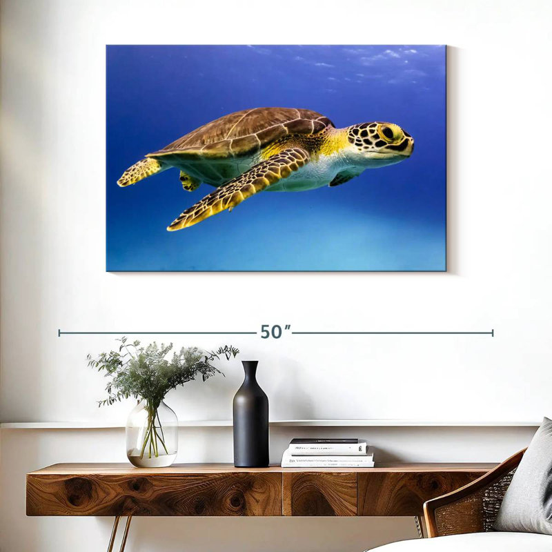 Brampt Young Hawksbill Turtle, 26" H x 39" W