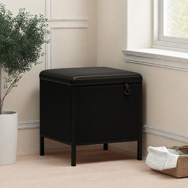 15.4in Shoe Changing Stool Flip Down Shoe Storage, Black