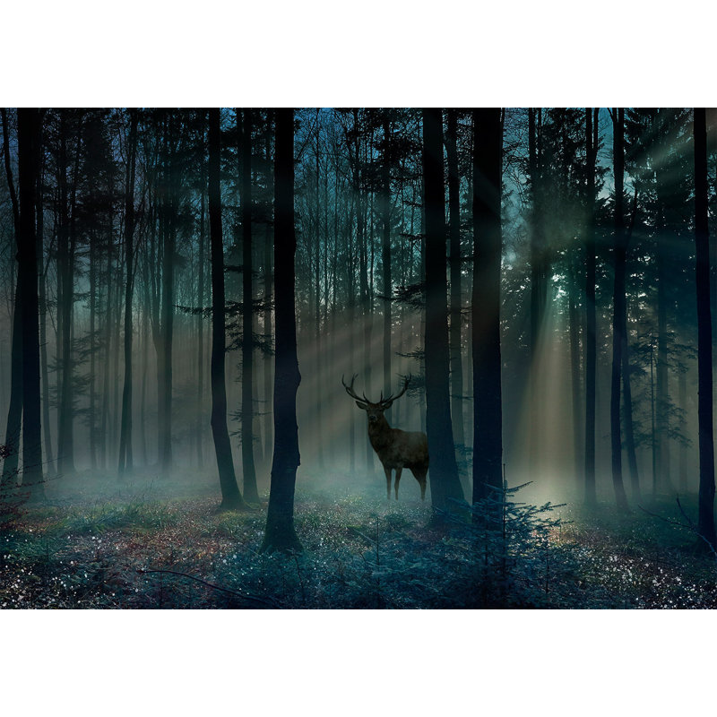 Papier peint paysage - Forêt mystique dans la matinée, L 124 po x l 177 po