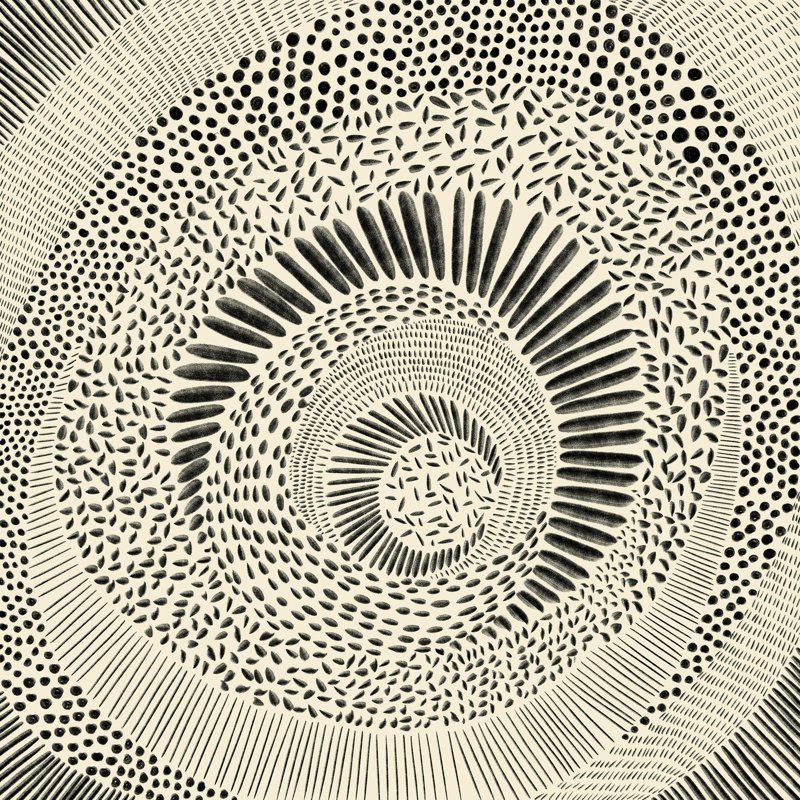 Mushroom Madness I par Janelle Penner - peinture sur toile tendue, H 20 po x l 20 po