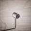 Statement Single-Function Iconic Handshower-591172981