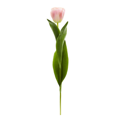Centre de table tulip