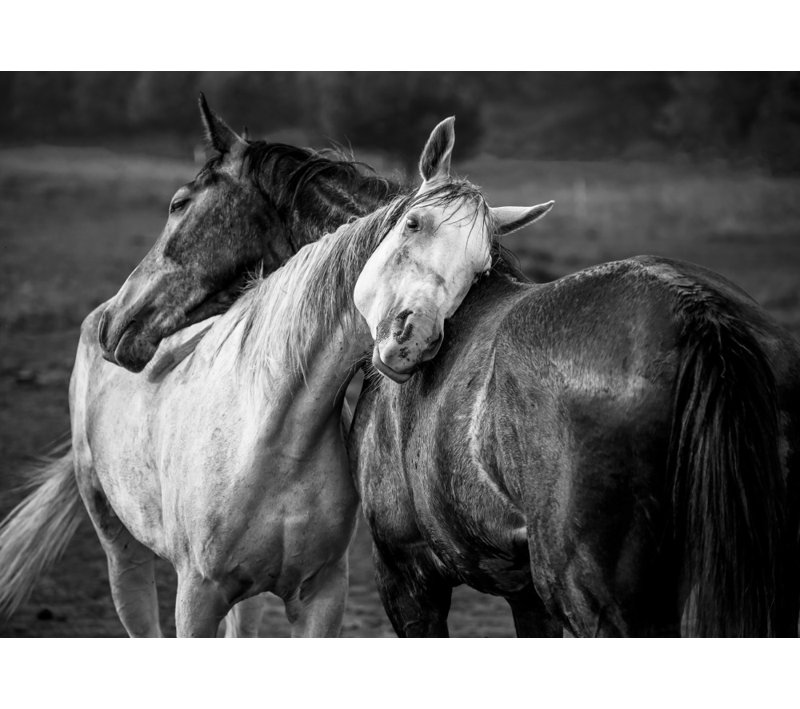 Wrapped Canvas Print, 60.96 cm H x 91.44 cm W