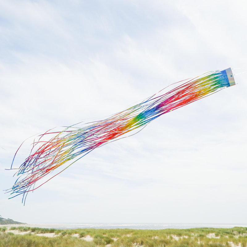 Mylar arc-en-ciel H 51 po x l 4 po Rainbow
