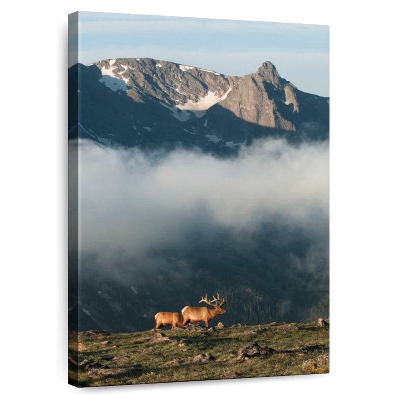 Alvord Rocky Mountain National Park Elks, 12" H x 8" W