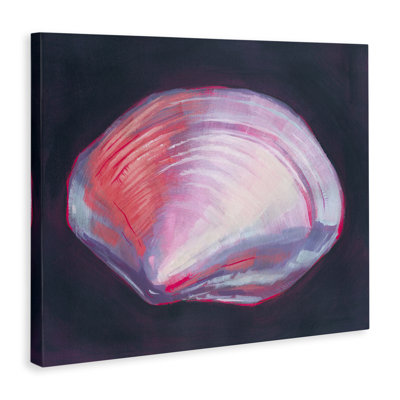 «Pink Clam on Black» par Grace Popp