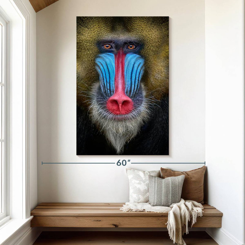 Brampt Mandrill Monkey, 51" H x 34" W