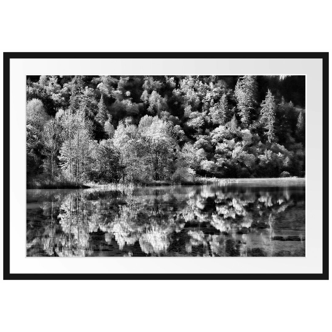 Gerahmtes Poster Herbstlicher Wald am See