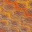 Tapis Madora-1704269696