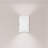 Alizza Steel Flush Mounted Sconce