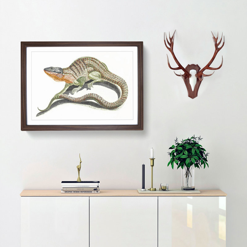 Lizard by Johan Teyler - Framed Print, Walnut Framed, 27cm H x 36cm W x 2cm D