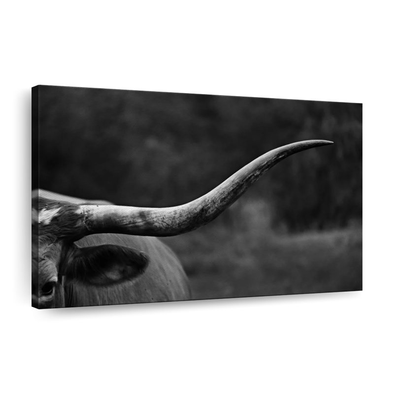 Impression sur toile Texas Longhorn, H 8 po x l 12 po x P 1 po