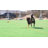 Remote-Control Pet Chase Toy For Outdoor Exercise & Training, Suitable For Dogs