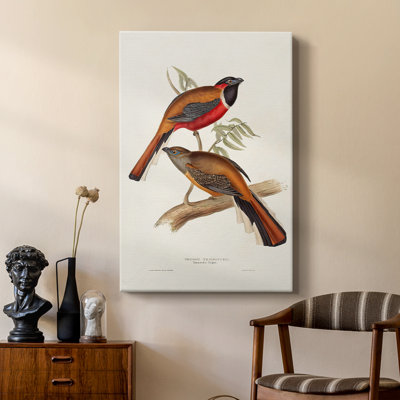 ElegantTrogonsIV - galerie Cavas sur mesure