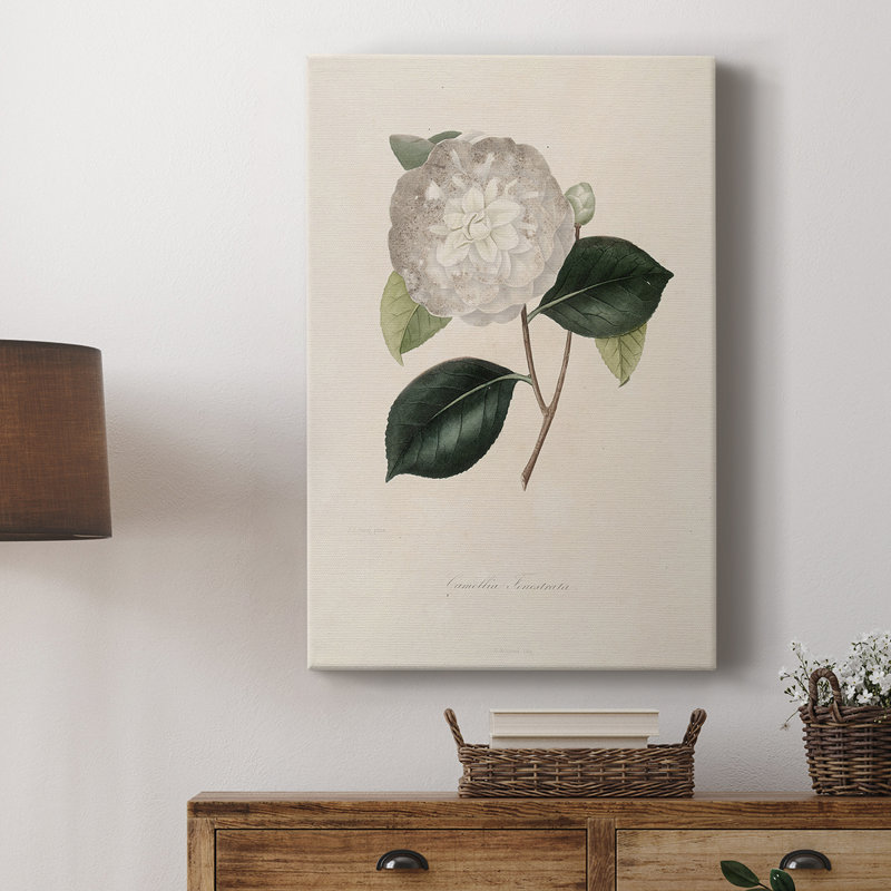 Imprimé floral rétro CLxxiii - galerie Cavas, H 27 po x l 18 po
