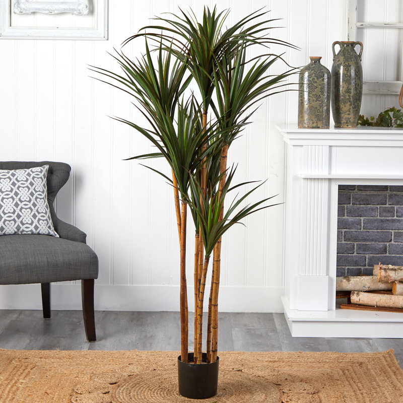 5,5 pi Arbre artificiel géant en yucca résistant aux rayons UV