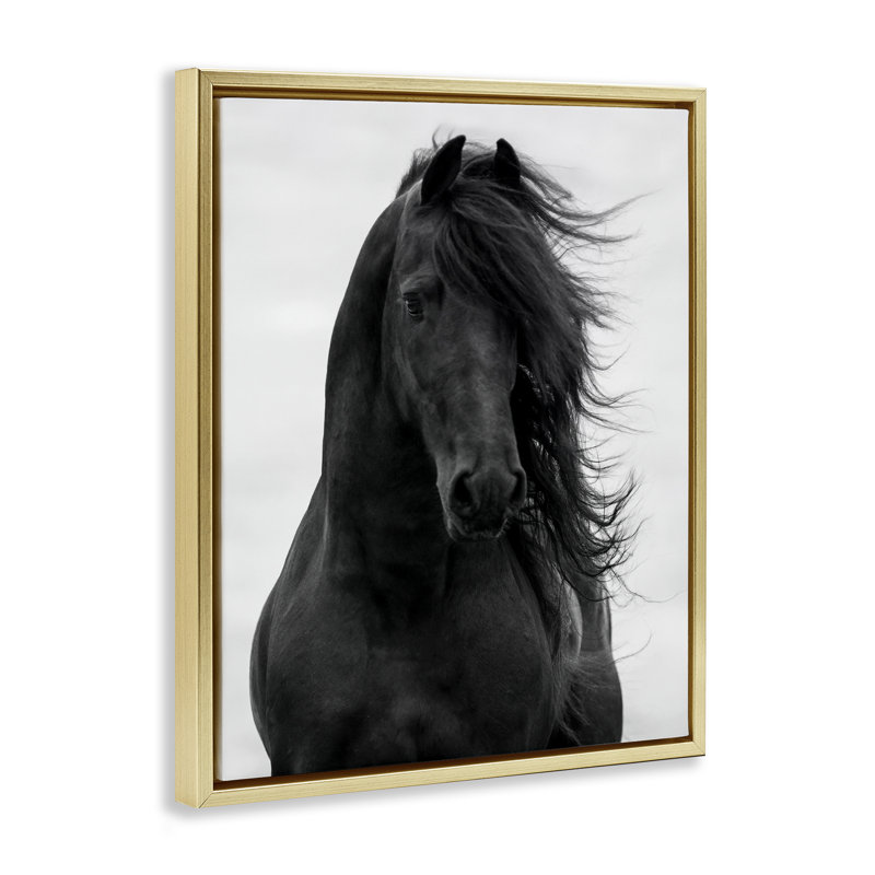«Black Stallion Horse Portrait», art mural encadré doré sur toile flottante par Carol Walker, Cadre flottant métallique doré
