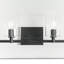 Haines 4 Light Transparent Dimmable Vanity Light-158064468